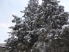 Next picture :: Wallpaper - Quetta Snowfall January 2012 (6) - 4608 x 3456
